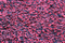 Polyester & Cotton Dirt Trapper Door Mat DM1608